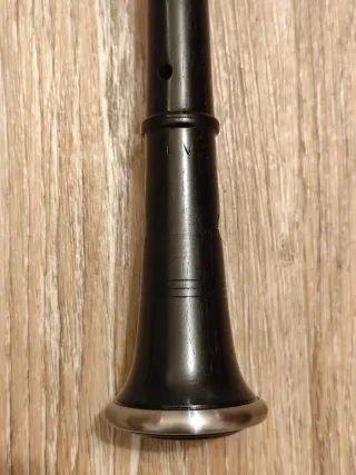 Puntero Gaita Gallega Sib