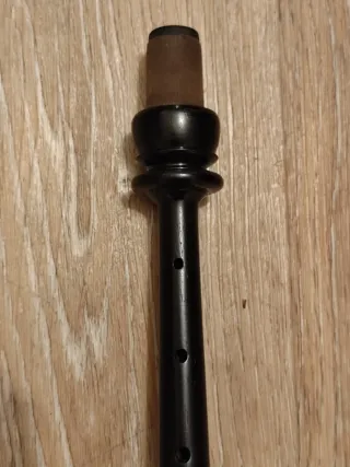 Puntero Gaita Gallega Sib