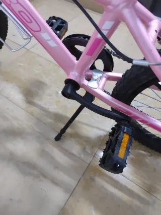 Bicicleta Niña 20 Rosa