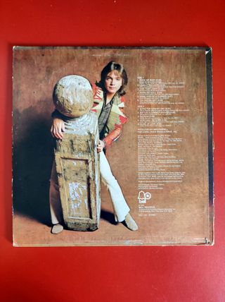 David Cassidy - Rock Me Baby Vinilo