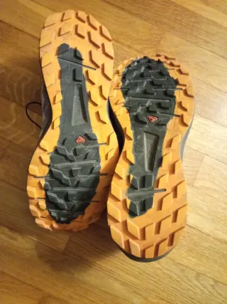 Zapatillas Salomon Sense Ride 4