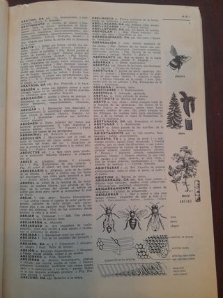 Pequeño Larousse Ilustrado (1972) – Diccionario en