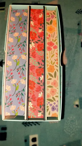 Sentido y Sensibilidad Orgullo y prejuicios Emma