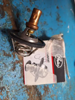 Bomba de freno, termostato, Renault Clio