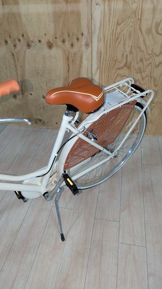 Bicicleta Alpina Olanda Mujer 26