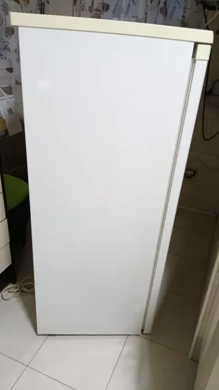 Arcón Congelador Vertical Arcon