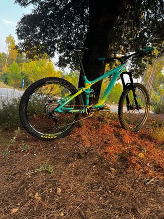 Giant Reign Advance Pro.