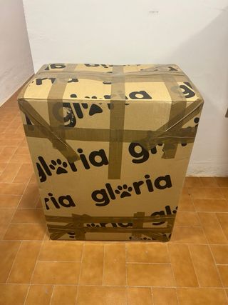 Conjunto 30 damajuanas antiguas para plifixola