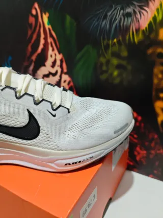 Nike Air Zoom Pegasus 41