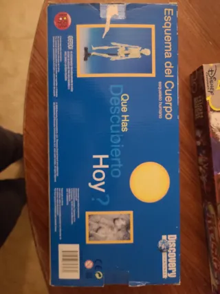 Esqueleto Humano Discovery Channel