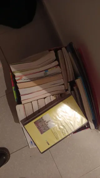 Colección libros actividades para educación física