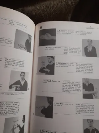 Nuevo diccionario gestual español