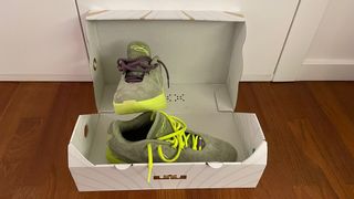 Nike Lebron 21 Algae - Lebron XXI Algae - size 45