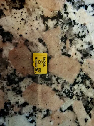 Nintendo Switch Gris Original