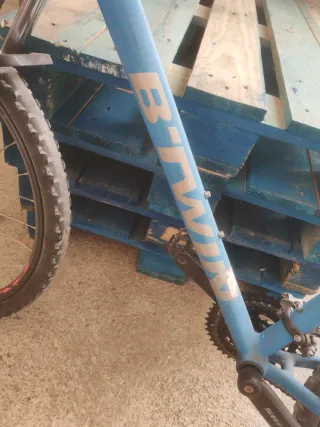 Bicicleta azul