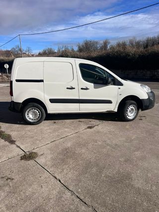 Peugeot Partner DANGEL 4X4