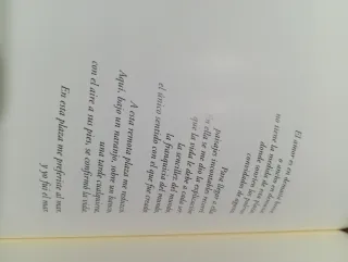 Testamento andaluz Manuel Rivera : Espejos