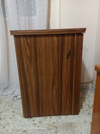 Máquina de coser vintage Refrey Preferida