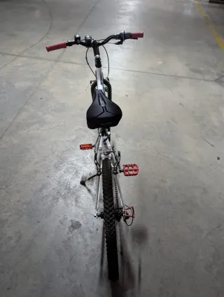 Bicicleta RockRider 300 20 pulgadas