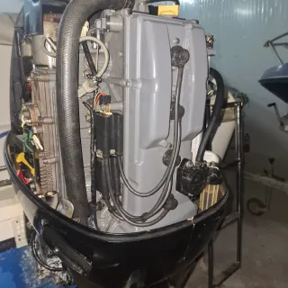 Suzuki DF 115 2015 - Menos de 600h