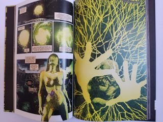 Cómic La Cosa del Pantano: Devenir (COMPLETA)