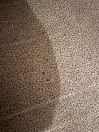 Sofá de dos plazas gris de tela