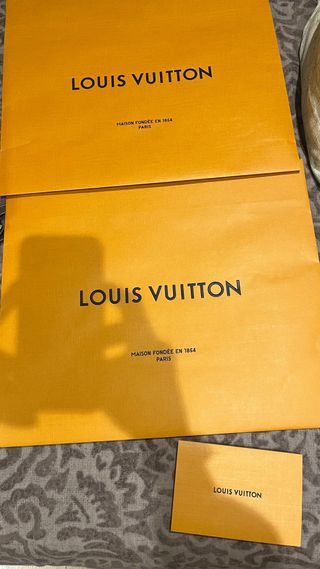 2 Bolsas Medianas Louis Vuitton