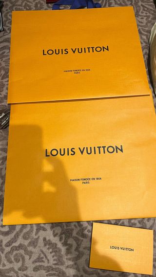 2 Bolsas Medianas Louis Vuitton