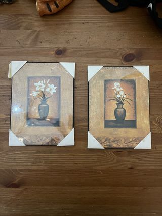 Juego de 2 cuadros decorativos florales