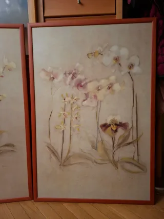 Cuadros Blum Orquídeas Set 2