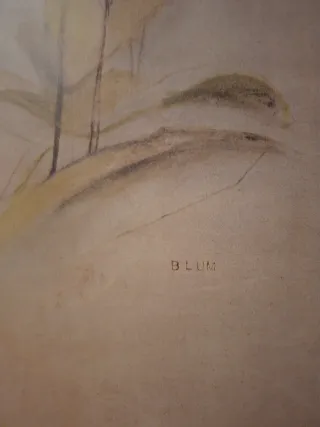 Cuadros Blum Orquídeas Set 2