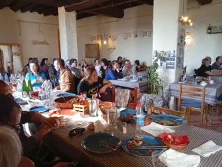 Música en vivo para bodas, fiestas y eventos