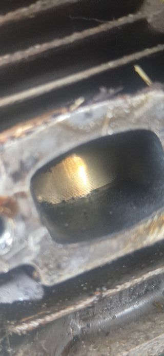 Desbrozadora STIHL FS 38