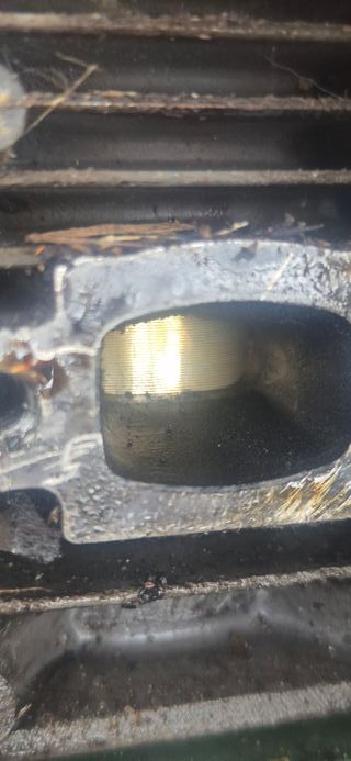 Desbrozadora STIHL FS 38