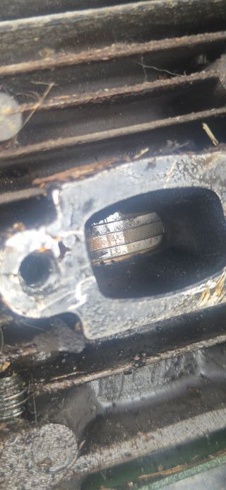 Desbrozadora STIHL FS 38