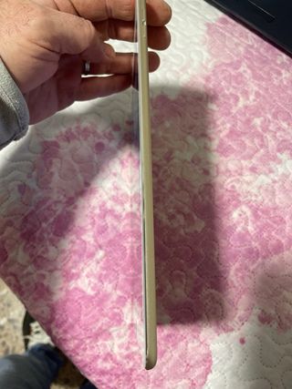 Apple iPad Air 2 64GB Argento