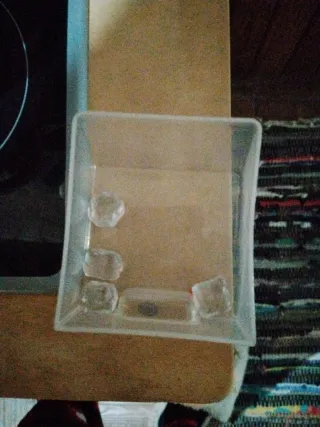 Frigorífico de juguete