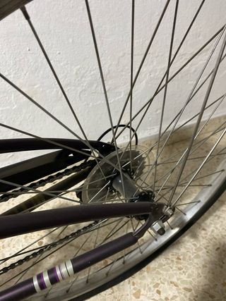 Bicicleta de paseo con cesta