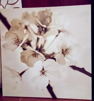 Set 3 Cuadros Flores Beige/Blanco