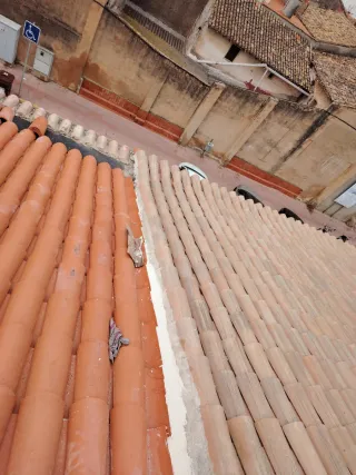 Construcciones y reformas