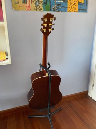 Chitarra Acustica Eko Ranger Special 6