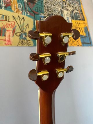 Chitarra Acustica Eko Ranger Special 6