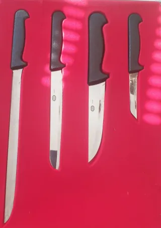 Juego de 4 Cuchillos AMC