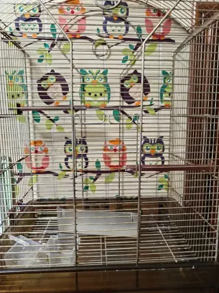 Jaula 60x40 cm Buen Estado