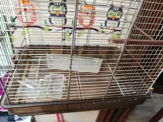 Jaula 60x40 cm Buen Estado