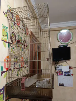 Jaula 60x40 cm Buen Estado