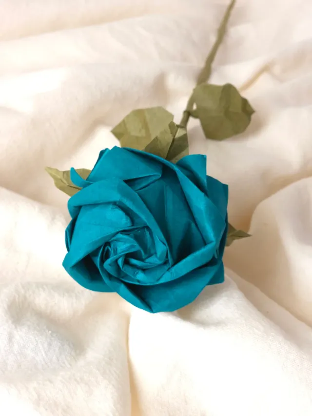 Rosa papel premium - Sant Jordi, Día de la Mujer