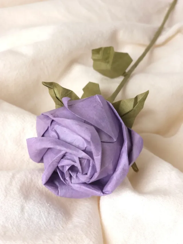 Rosa papel premium - Sant Jordi, Día de la Mujer