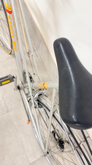 Bicicleta BH Gacela Plata