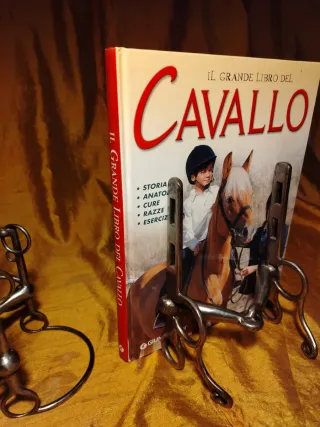 Coppia di morsi per cavalli decorativi